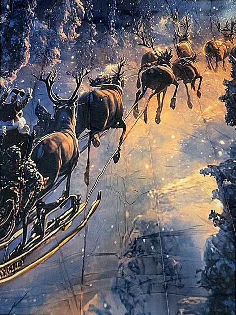 Christmas Elk Sleigh Starry Night Santa Soft Twin Comforter And Pillow Case New