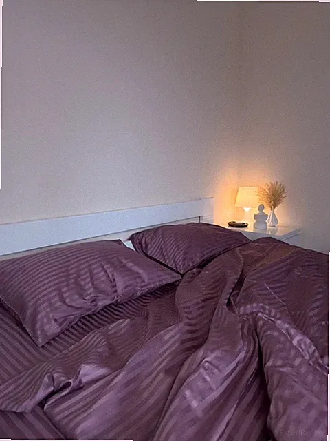 Luxurious Satin Bedding Set | 100% Cotton | Color: Purple Chocolate