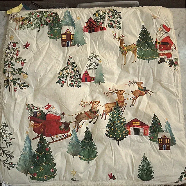Pottery Barn Santa in the Country Sherpa Back Euro sham Christmas New-1