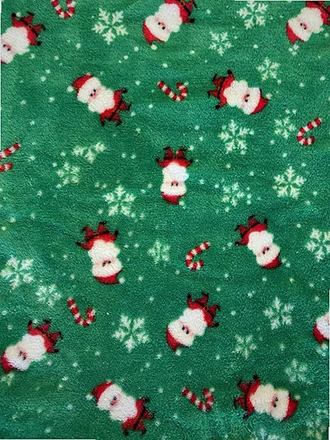 SANTA CLAUSE CANDY CANE GREEN PRINTED BLANKET